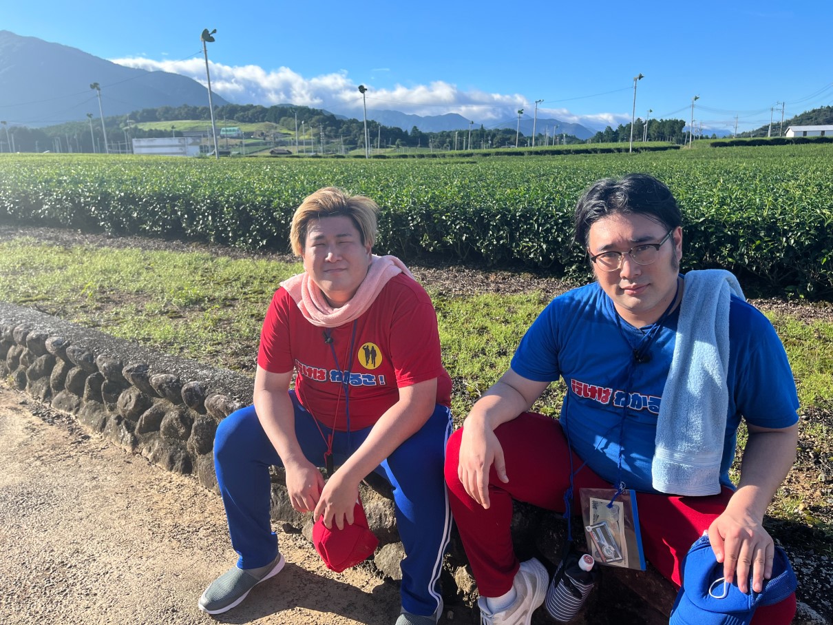 Learn Mie Through Biscuits Brothers' Travels