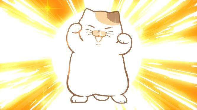 Wonder Cat